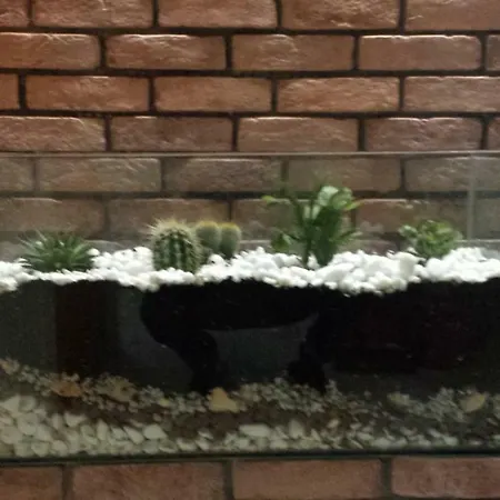 Ano Poli 公寓 塞萨洛尼基